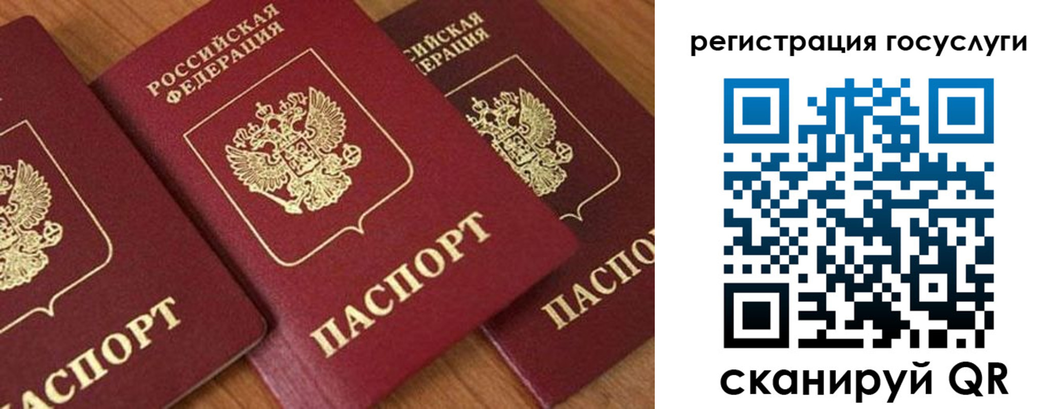 временная регистрация гарантия в Кохме